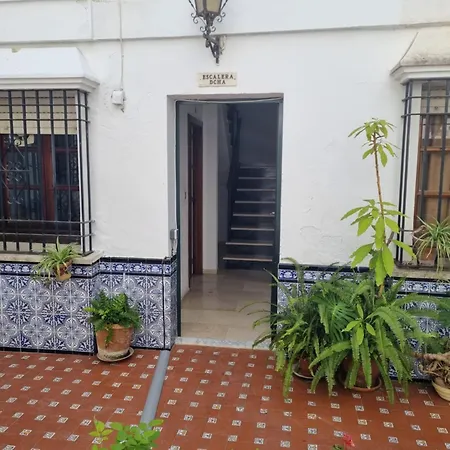 En Patio Cordobes San Basilio Cordoba