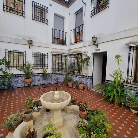 En Patio Cordobes San Basilio Cordoba